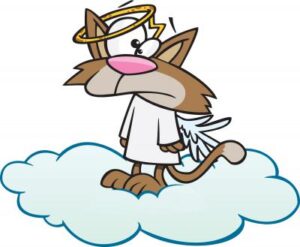 A cat in heaven with a crooked halo - comic style drawing