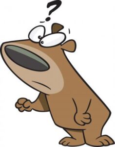 comic style drawing of bear with a question mark above his head